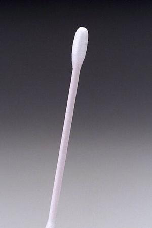 職人と地域に愛される専門店「本田屋」の魅力と店舗情報